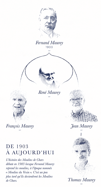 arbre-genealogique-full-white 1