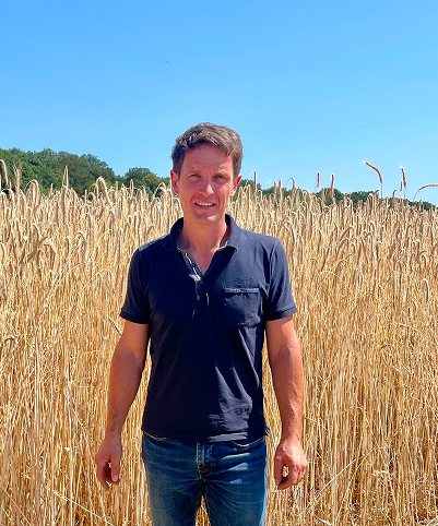 champs blé producteur français